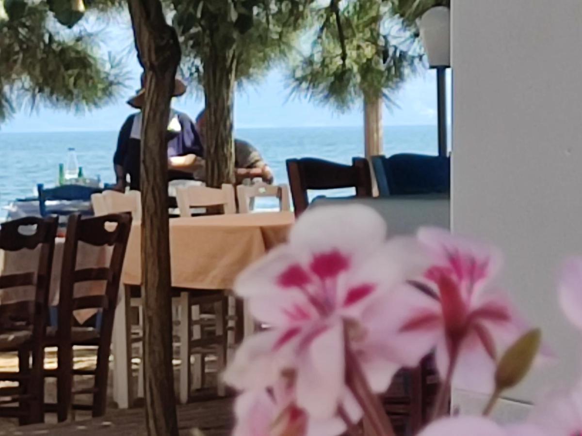 Look To The Sea Nea Karvali别墅 外观 照片